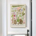 poster vintage di alghe marine