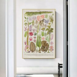 poster vintage di alghe marine