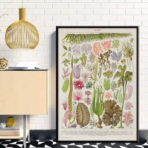 poster vintage di alghe marine