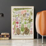 poster vintage di alghe marine