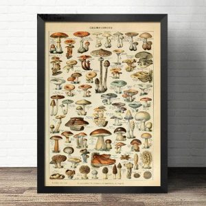 poster vintage con funghi