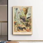 poster animali marini oceano vintage