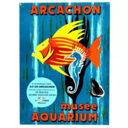 poster bassin darcachon vintage 2