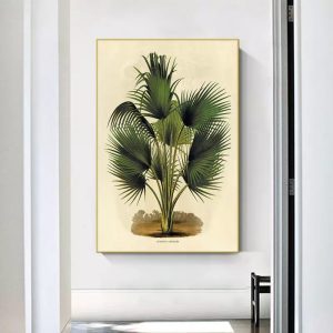 palma poster botanico vintage