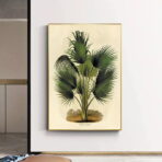 palma poster botanico vintage
