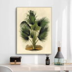 palma poster botanico vintage