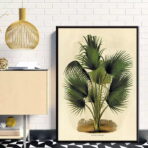 palma poster botanico vintage