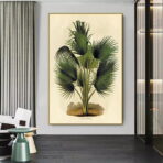 palma poster botanico vintage