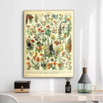 poster botanico vintage