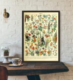 poster botanico vintage
