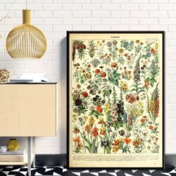 poster botanico vintage