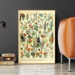 poster botanico vintage