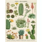 poster cactus vintage