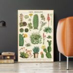 poster cactus vintage