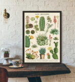 poster cactus vintage