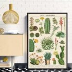 poster cactus vintage