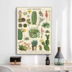 poster cactus vintage