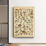 poster vintage con funghi 1
