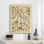 poster vintage con funghi 1