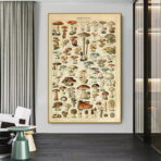 poster vintage con funghi 1