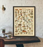 poster vintage con funghi 1