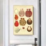 poster conchiglia vintage
