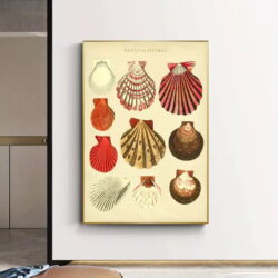 poster conchiglia vintage