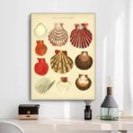 poster conchiglia vintage