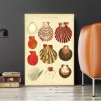 poster conchiglia vintage