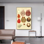 poster conchiglia vintage