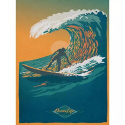 poster surf vintage 2
