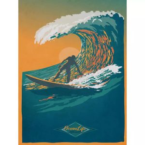 poster surf vintage 2