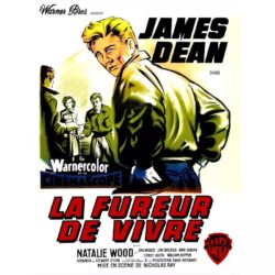 film locandina il fureur de vivre