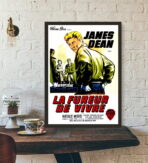film locandina il fureur de vivre