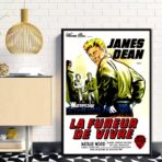 film locandina il fureur de vivre