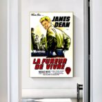 film locandina il fureur de vivre