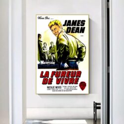 film locandina il fureur de vivre