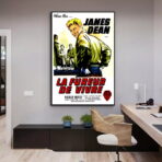 film locandina il fureur de vivre