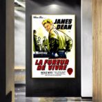 film locandina il fureur de vivre