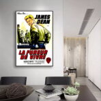 film locandina il fureur de vivre