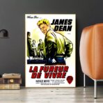 film locandina il fureur de vivre