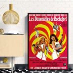 locandina film les demoiselles de rochefort
