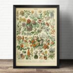 poster fiori vintage 2
