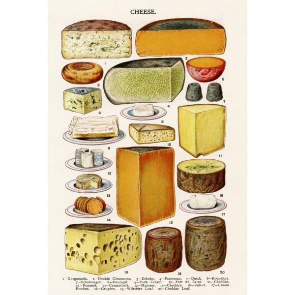 poster di formaggi vintage poster di formaggi vintage