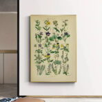 poster erbario vintage