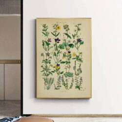 poster erbario vintage