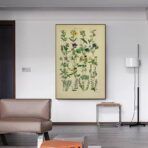 poster erbario vintage