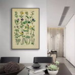poster erbario vintage
