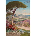 poster hyeres 2