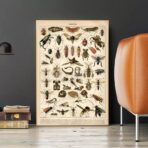 poster di insetti vintage 1